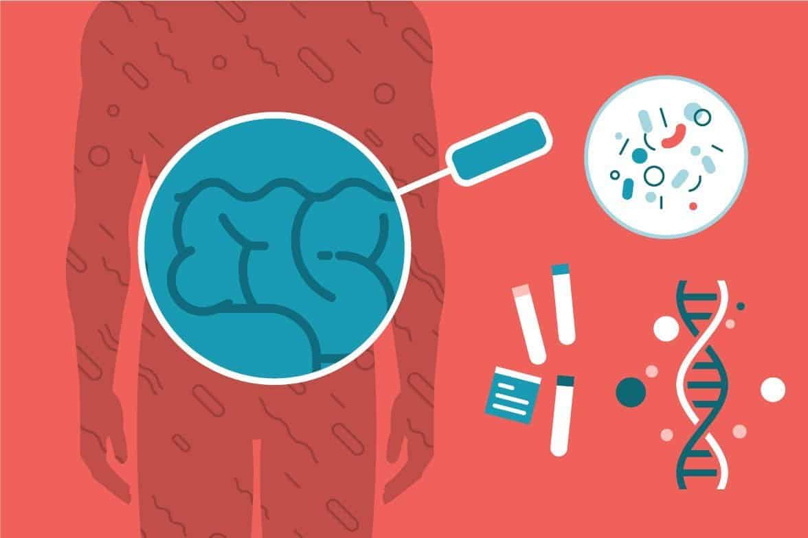 How to Check Your Gut: Symptoms, Transit Time & Healing